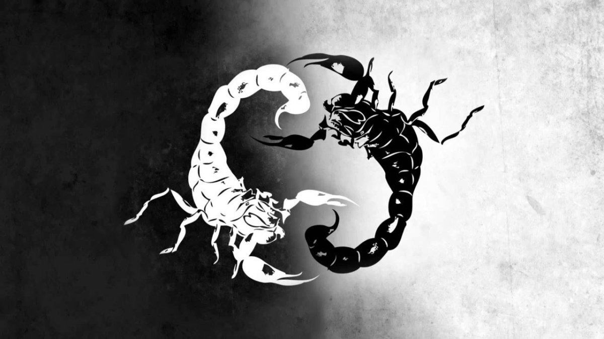 Слоновая черепаха раскраска