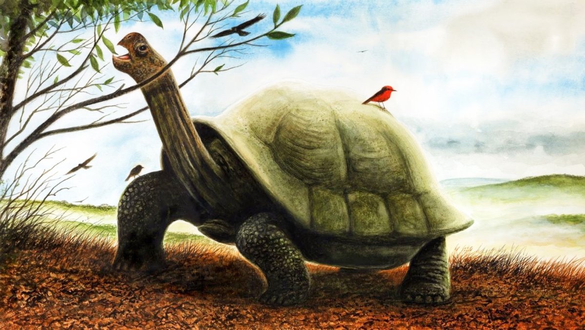 Креативный рабочий стол