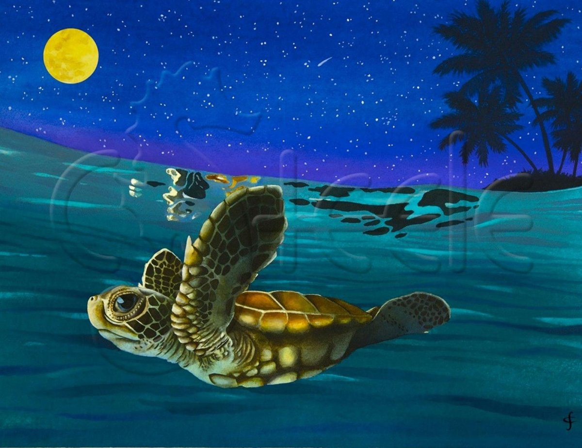 Земля на трех слонах и черепахе