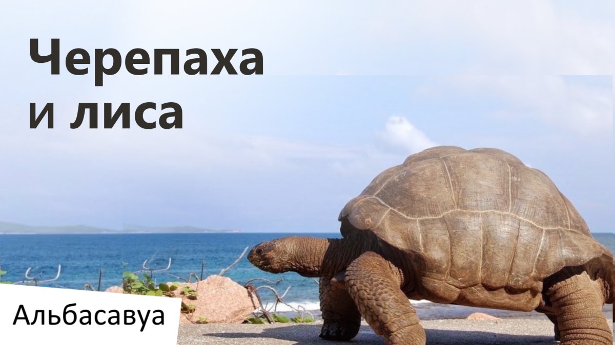 Басня про лягушку и скорпиона