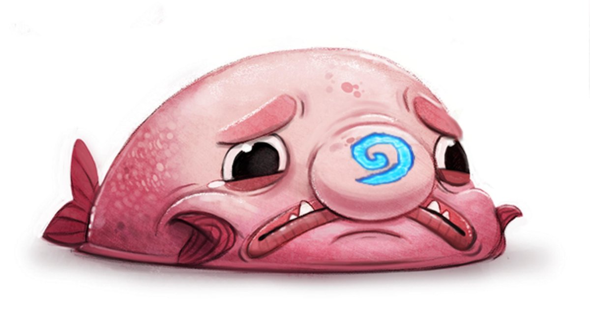 Скат-хвостокол морской кот