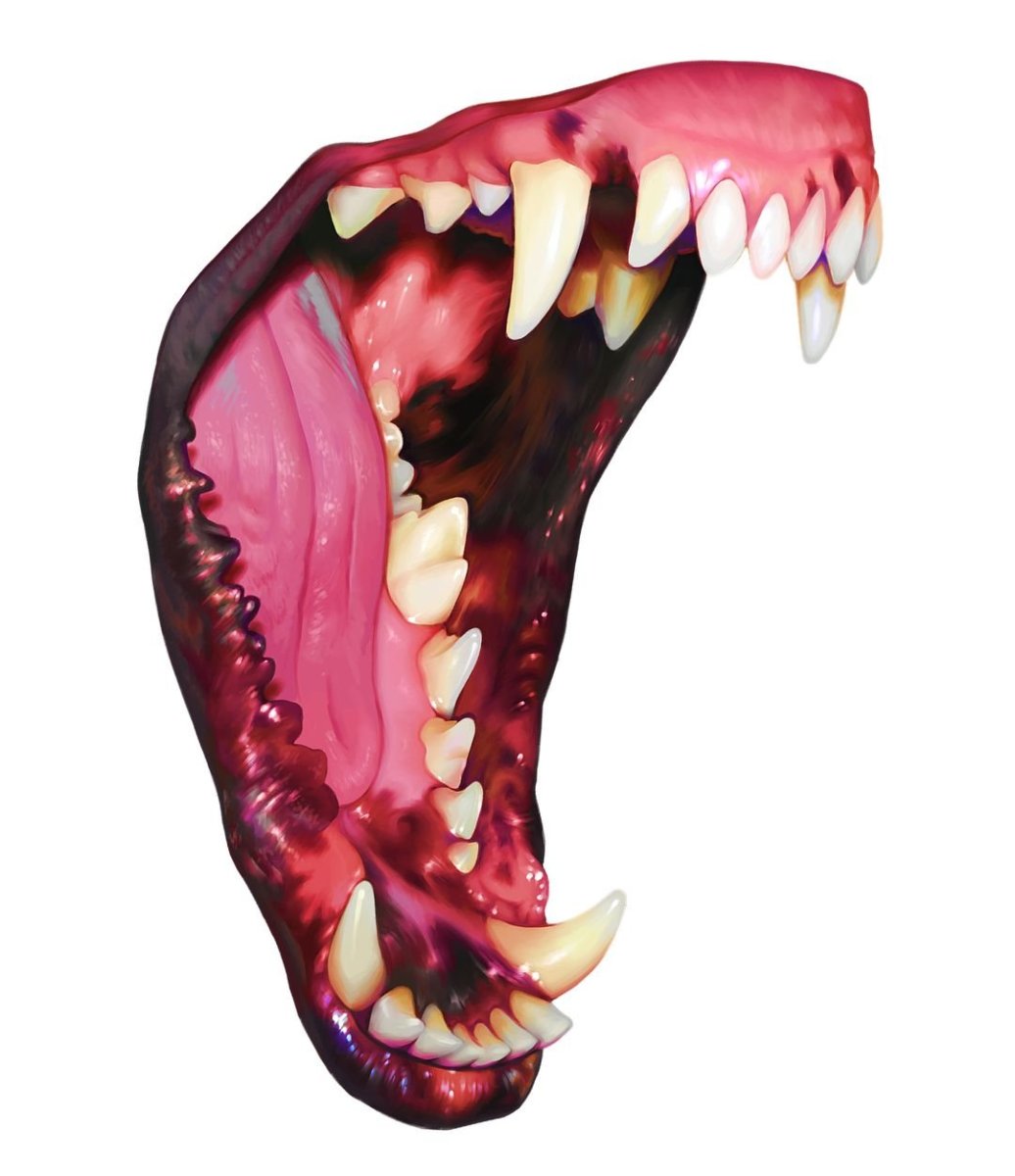 Разъяренные собаки с зубами