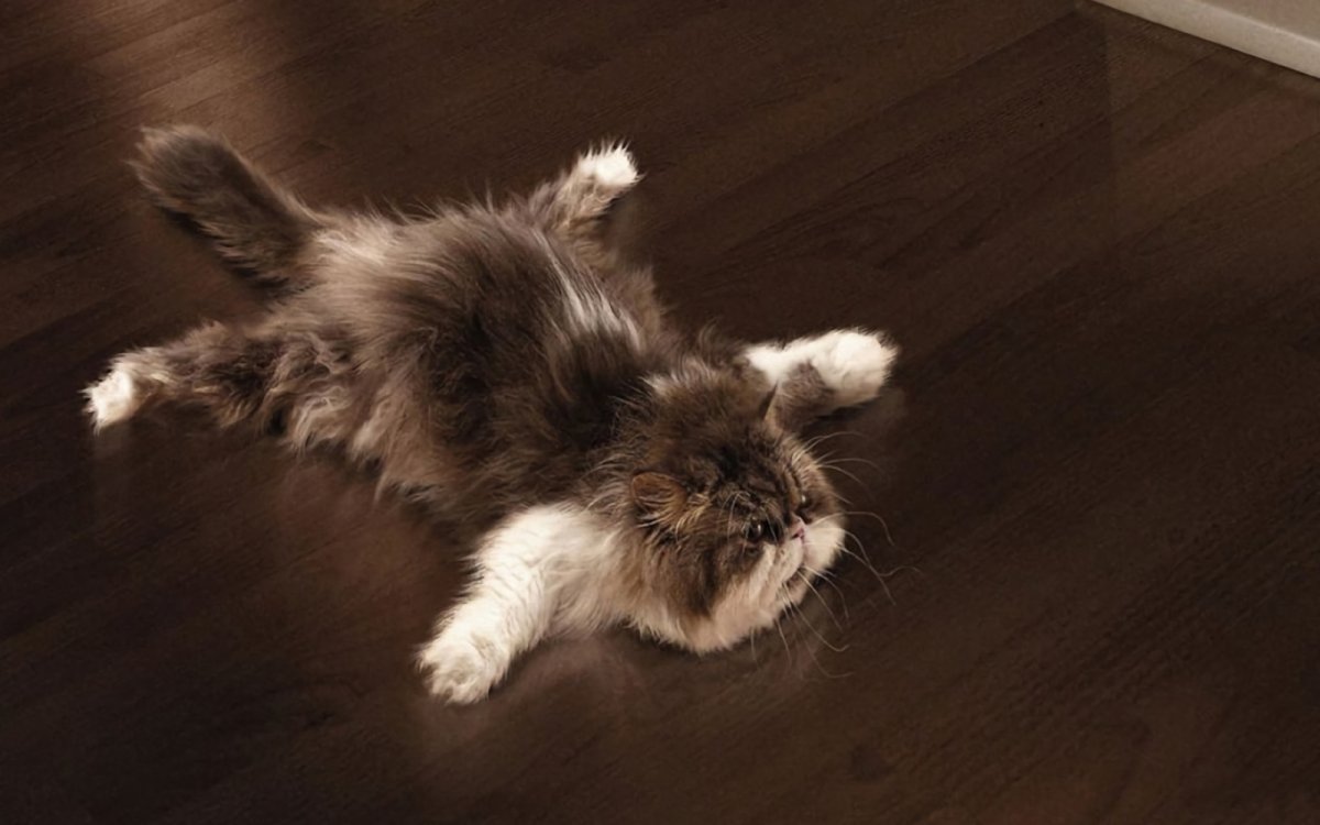 Пять минут полет нормальный