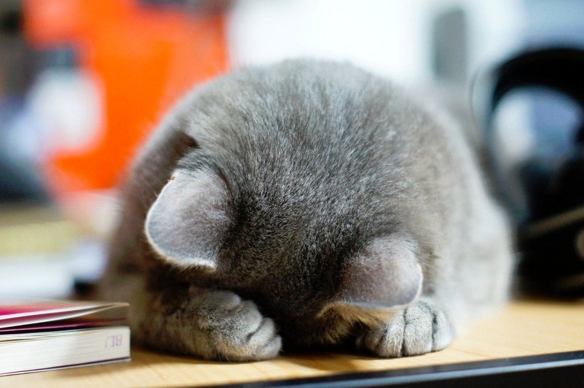 Ты где работаешь на работе а что делаешь домой хочу