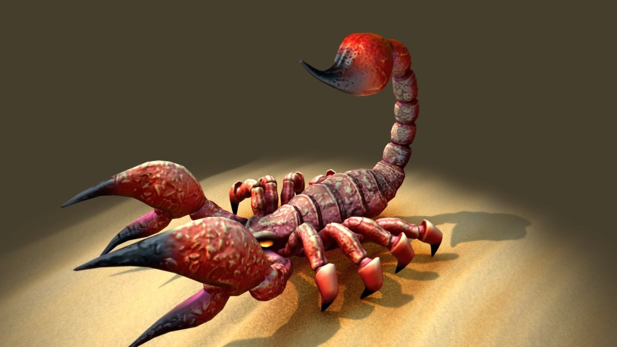 Скорпион обои