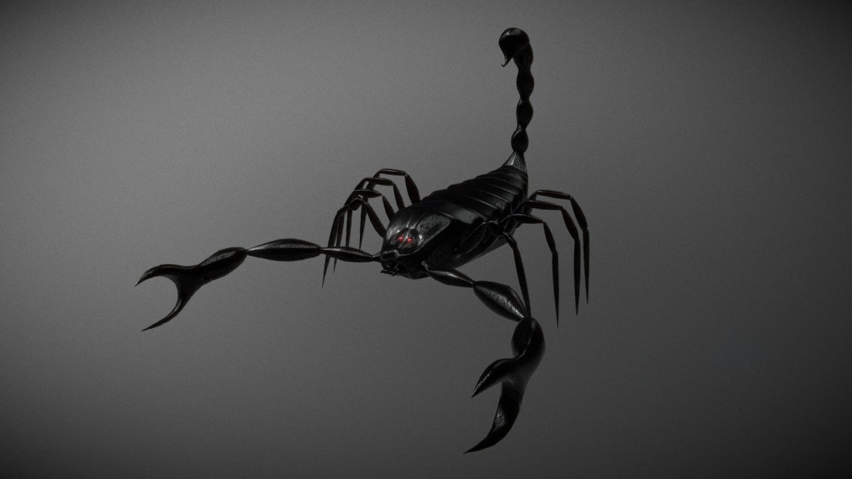 Скорпион в природе макрофото