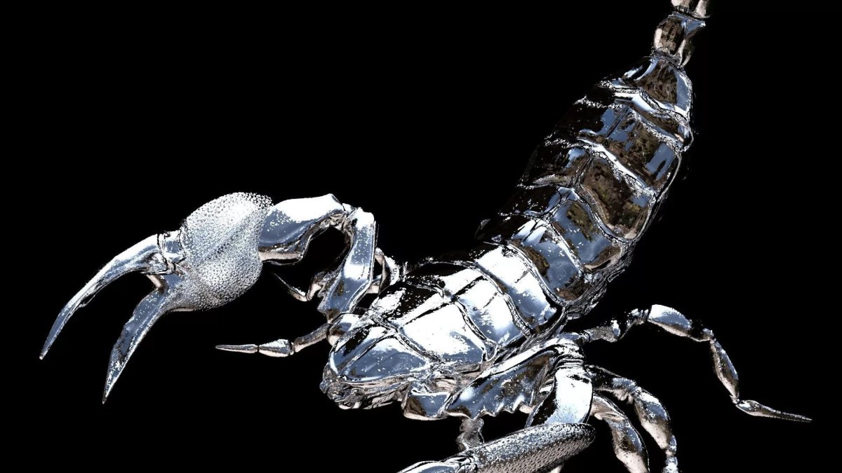 Арахнид Скорпион