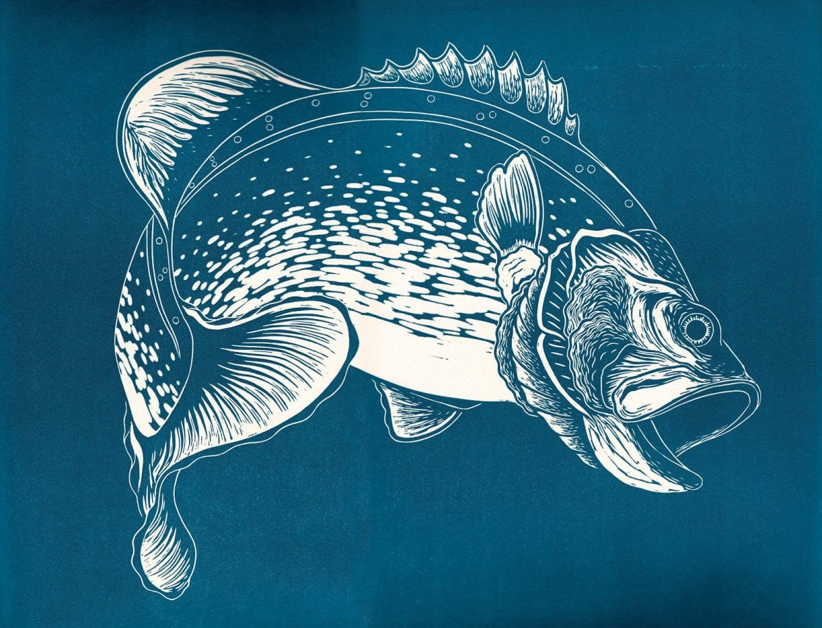 Романа Федорцова Рыбак Мурманск