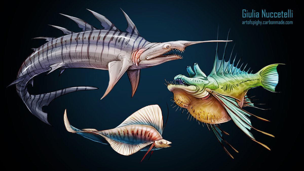 Белый петушок рыбка