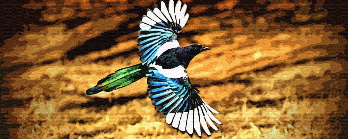 Жена павлина Алтайская сказка