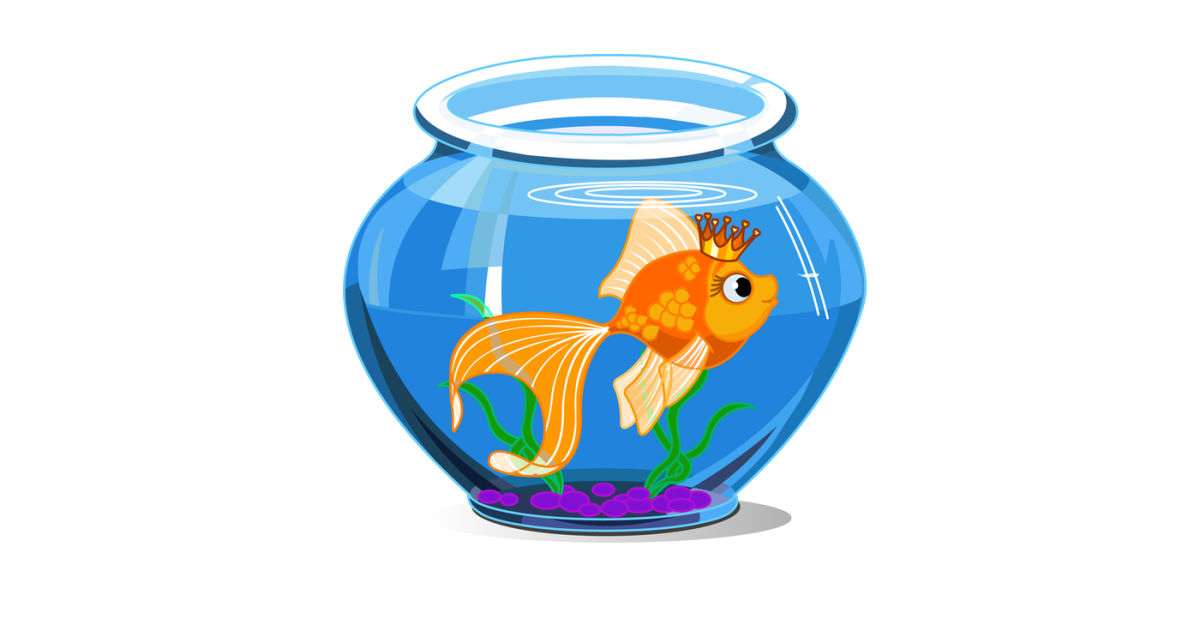 Золотая рыбка в аквариуме