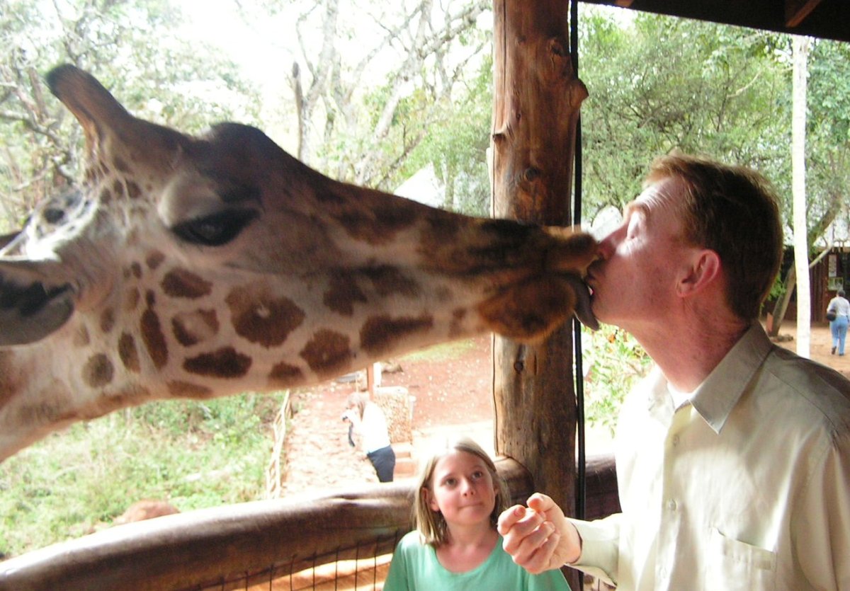 Жираф Ленинградский зоопарк 2022