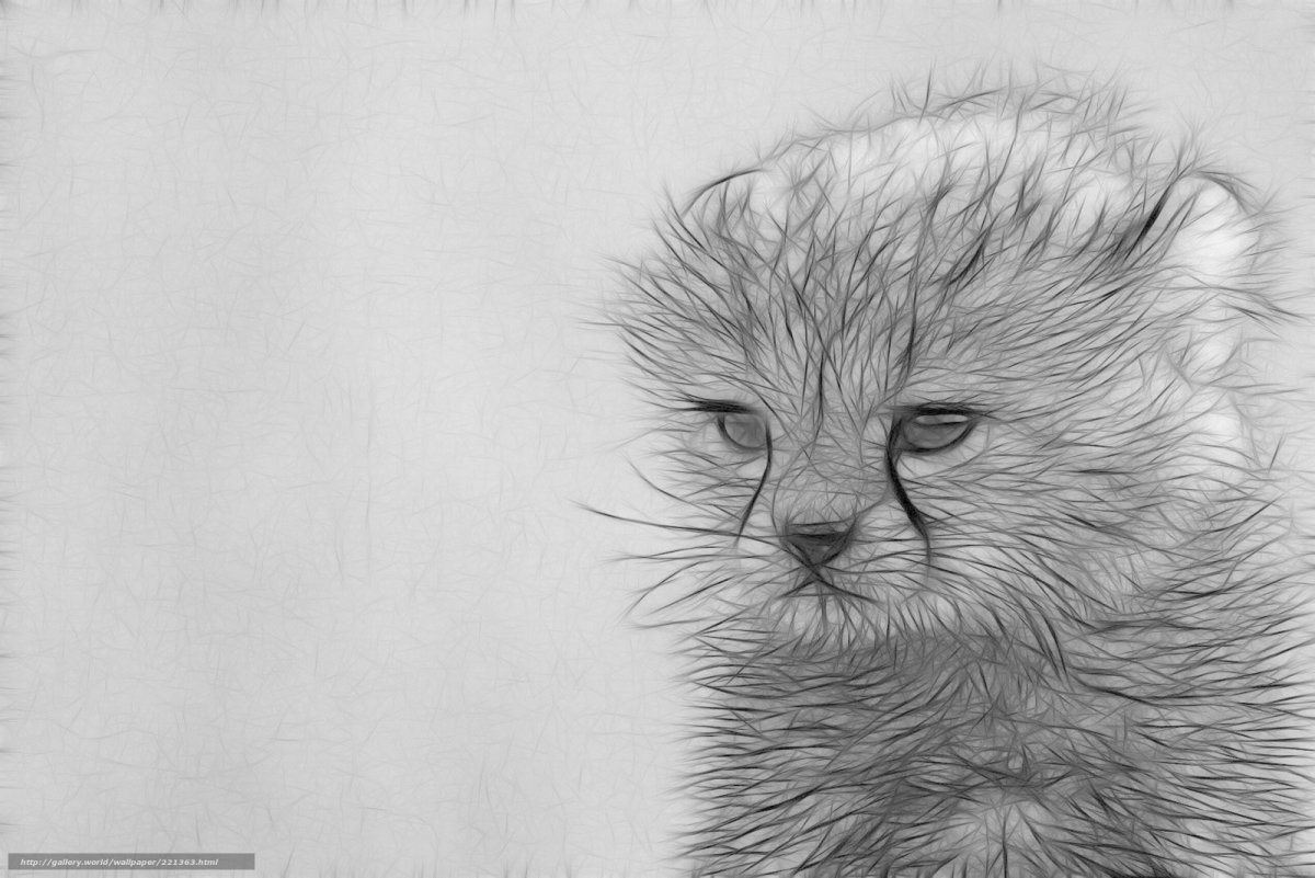 Графика животных карандашом