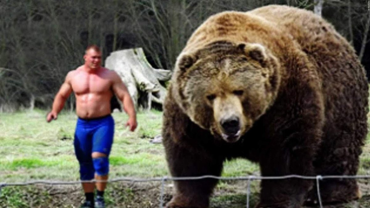Гризли медведь вес рост