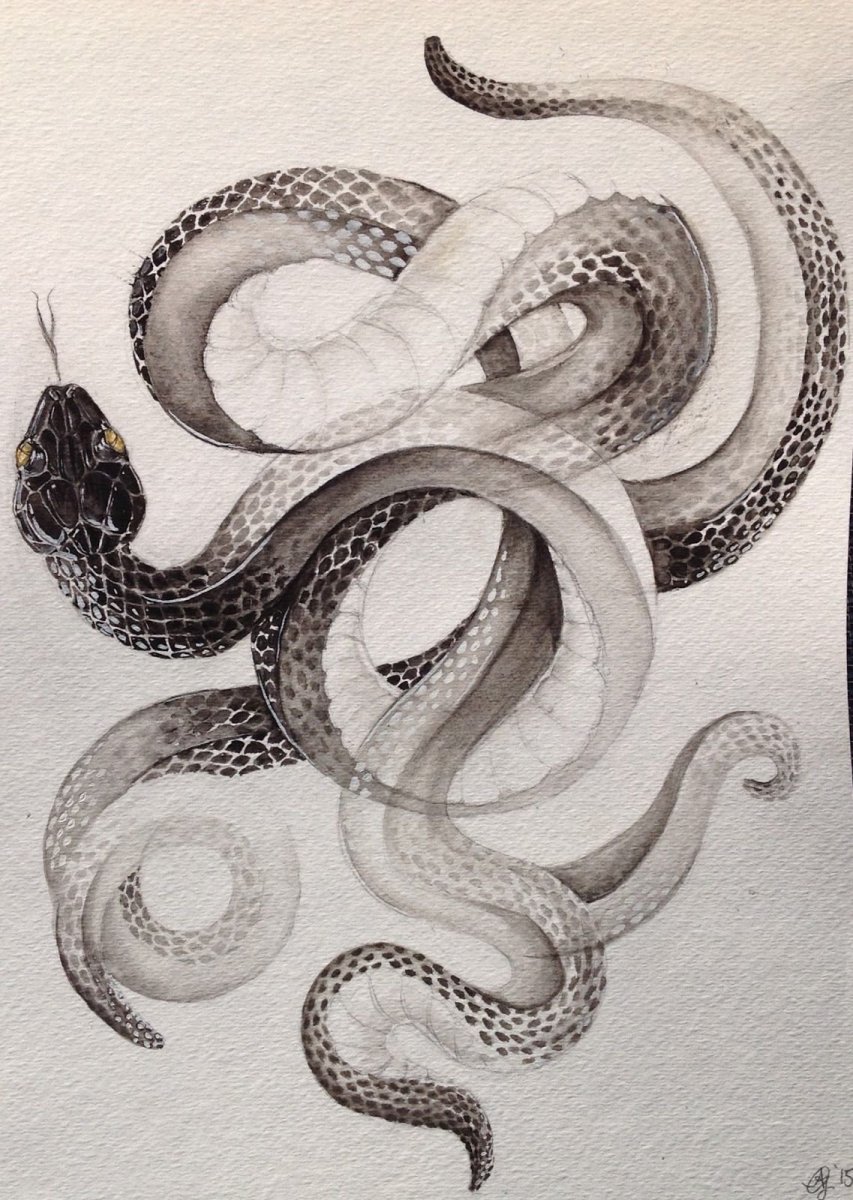 Гадюка водоплавающая