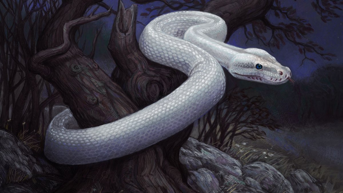 Змея в пруду