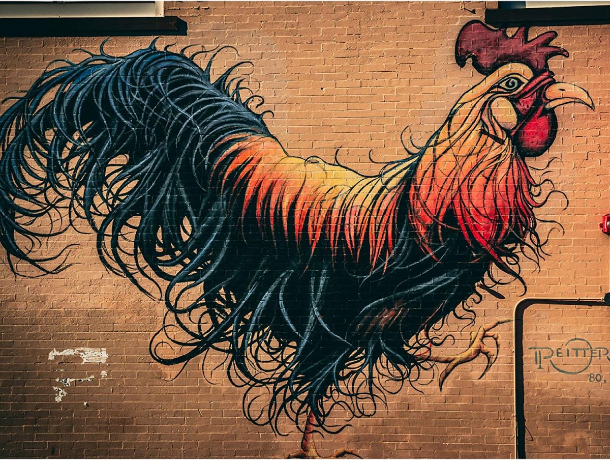 Граффити курица