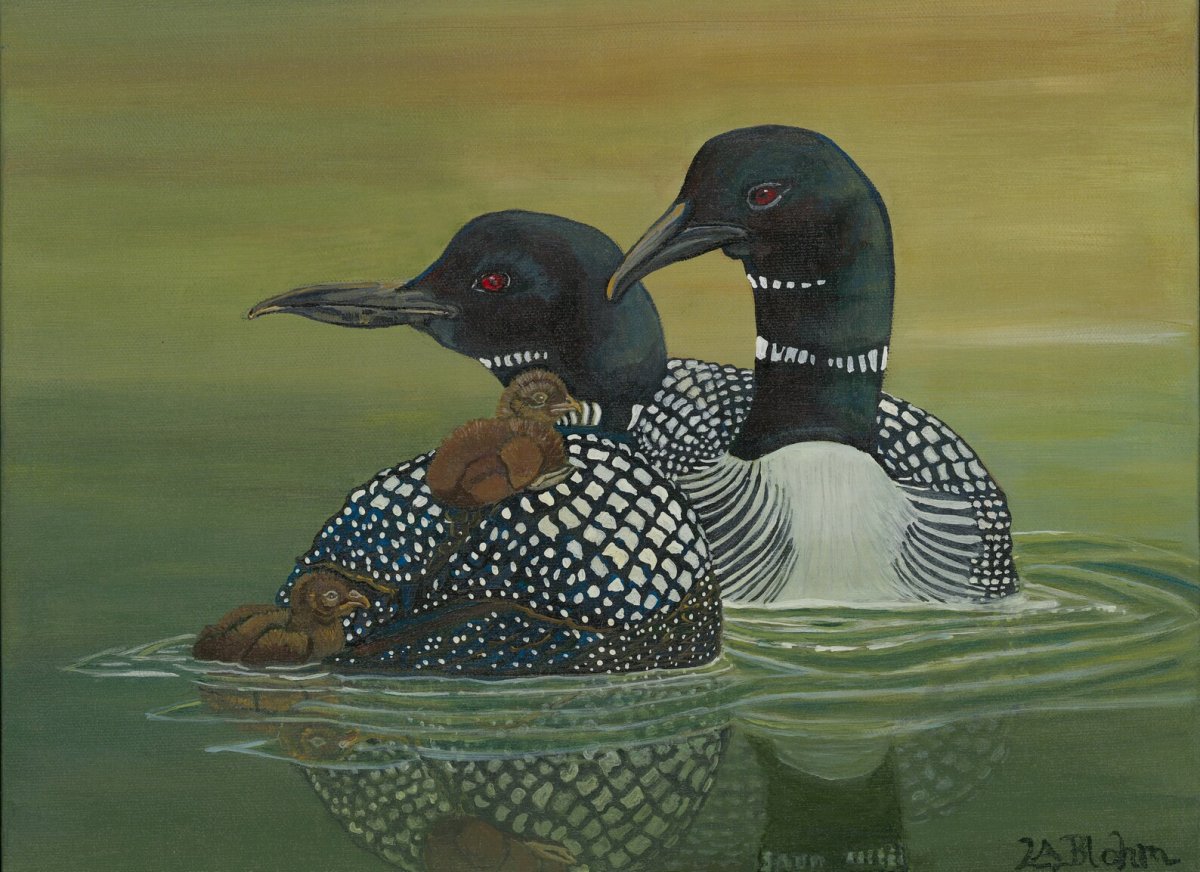 Лапа гагары