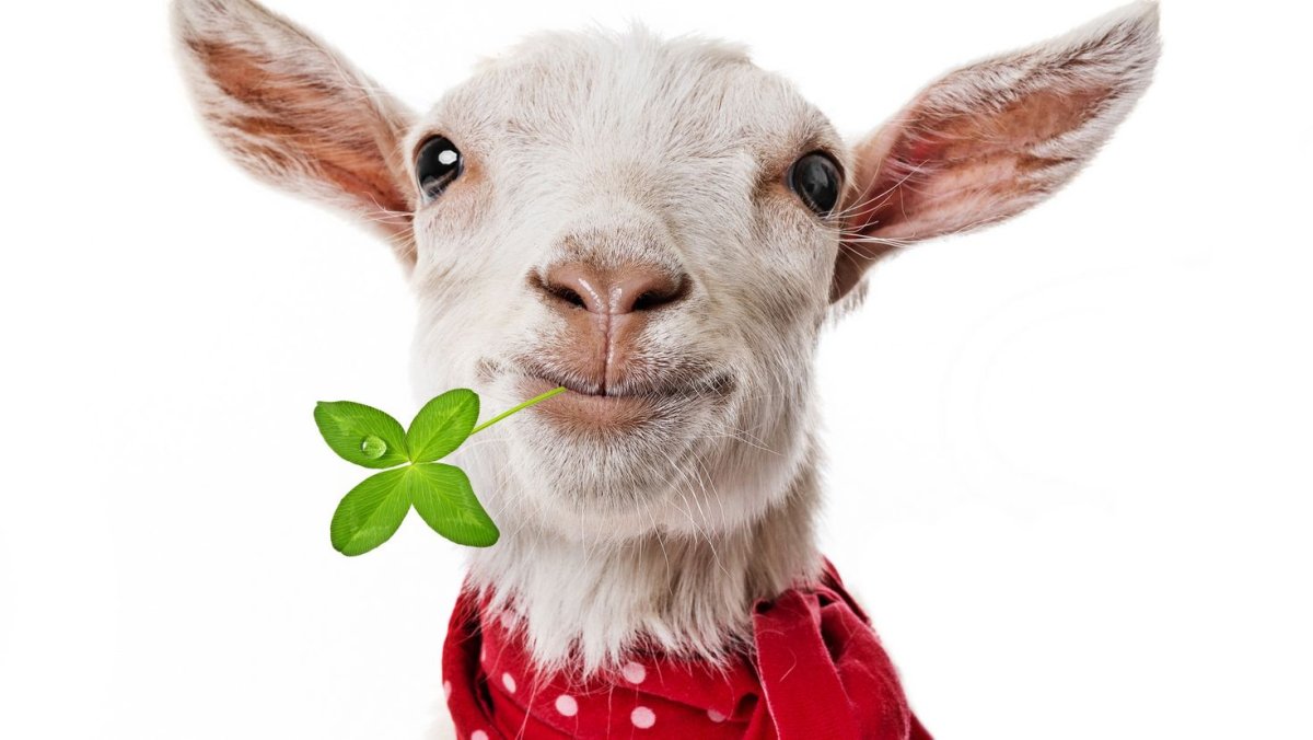 Милый козлик арт