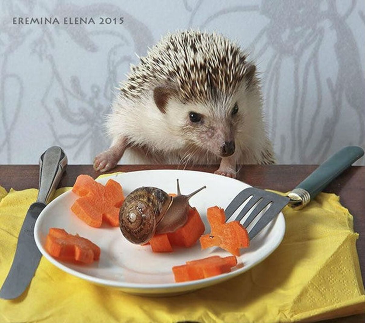 Что едят ежики