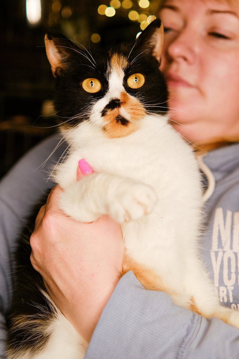 Мейн кун трехцветный