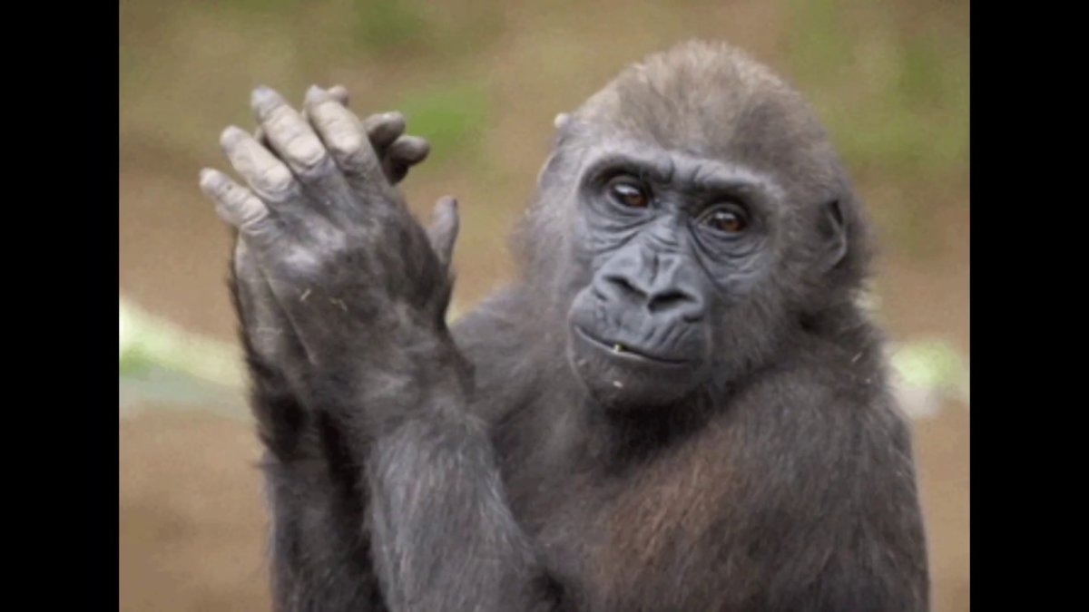 Накрашенная обезьянка