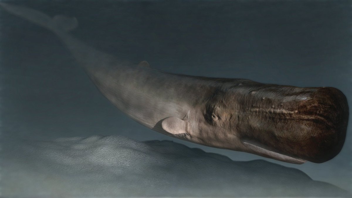 Гигантский Кашалот