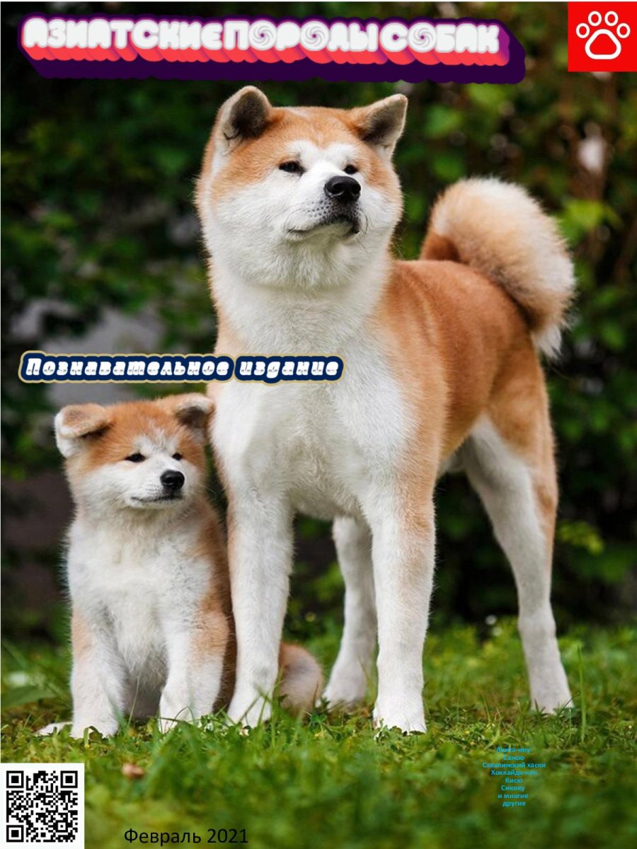 Японская собака окатаину