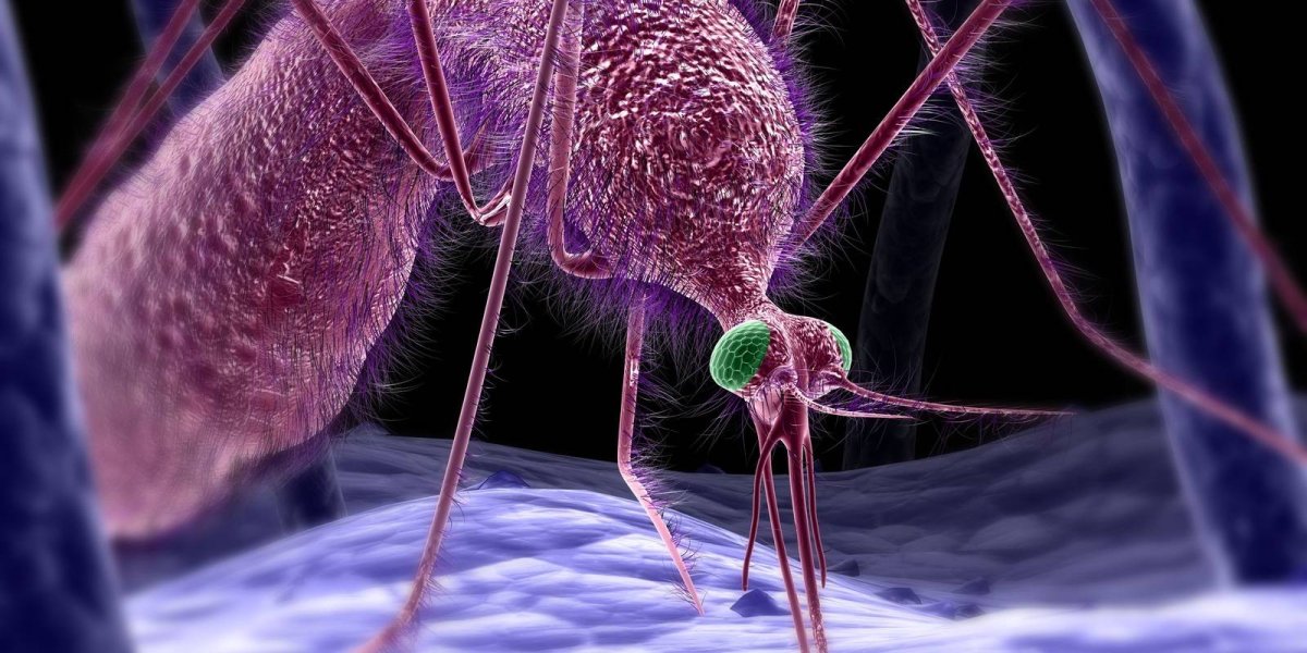 Монстры под микроскопом