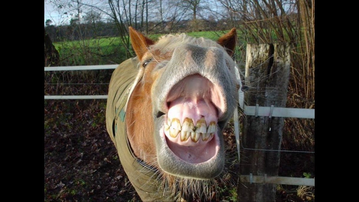 Упоротая лошадка