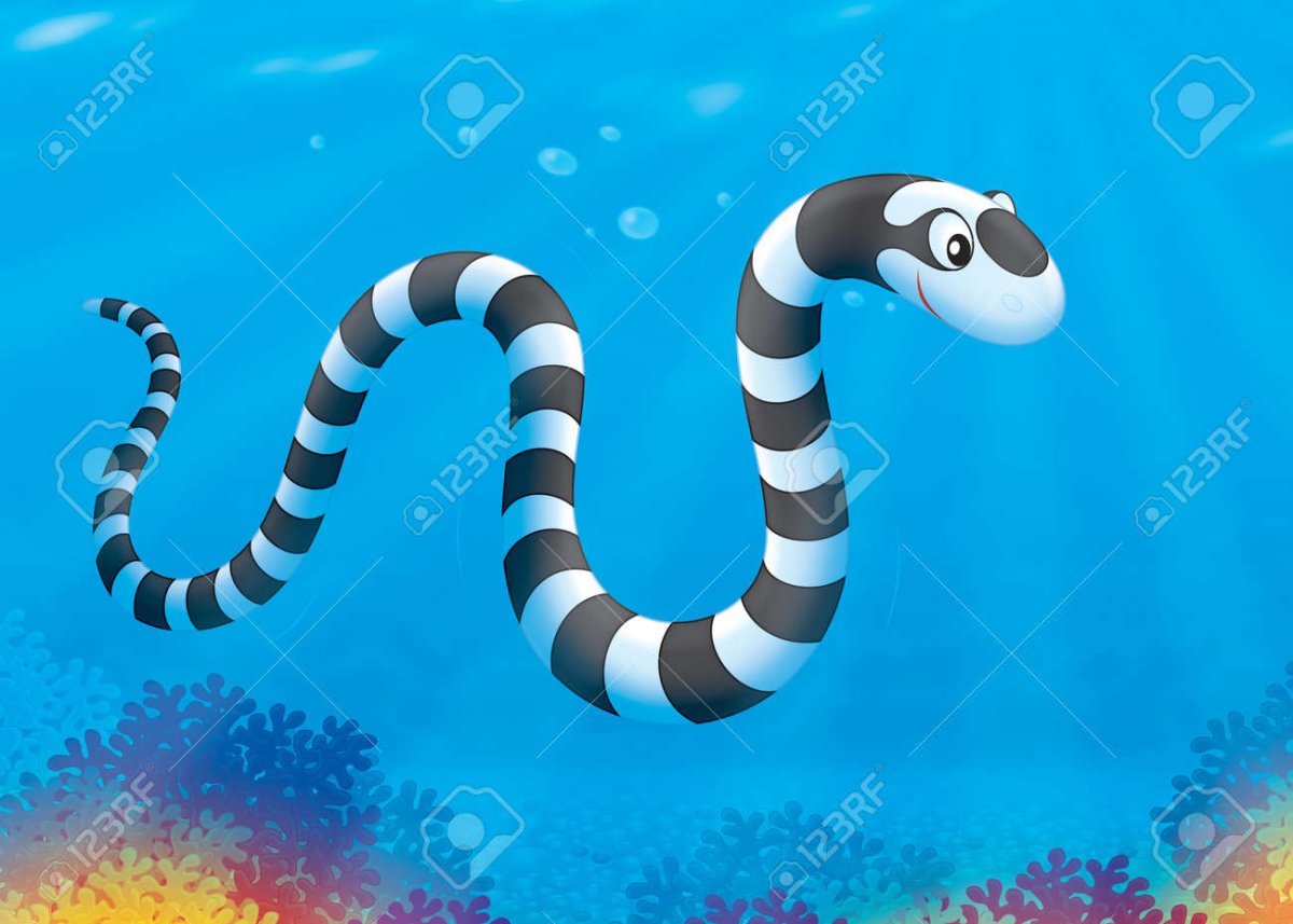 Малайский Крайт змея