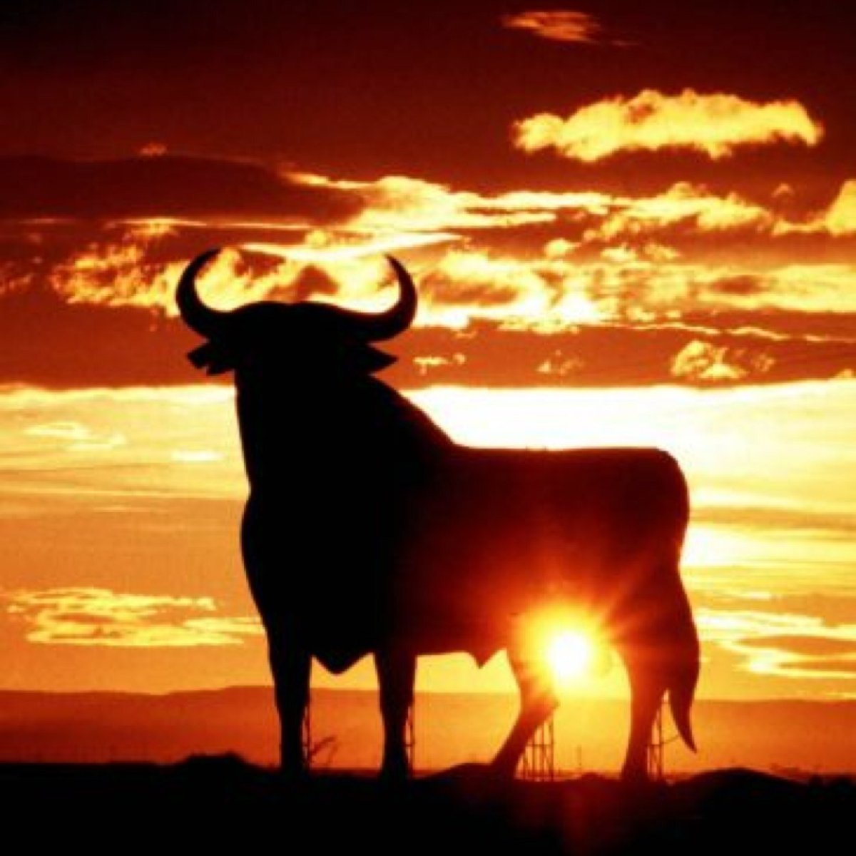 Огненный бык