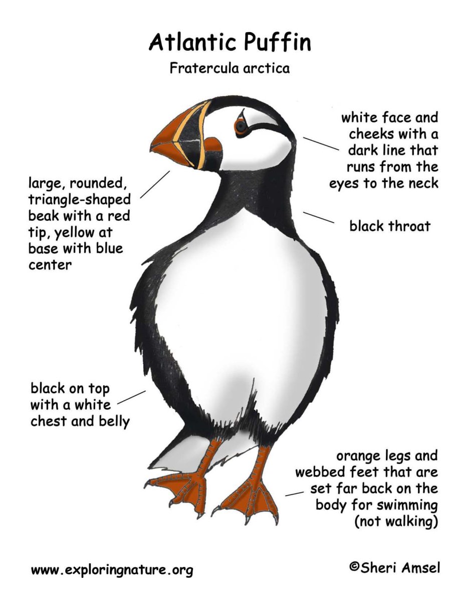 Розовая птица в полете