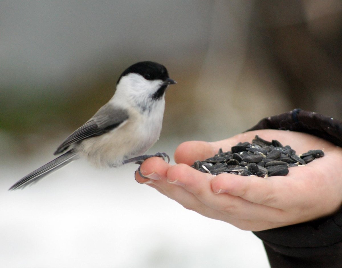Глория Уилсон фотограф