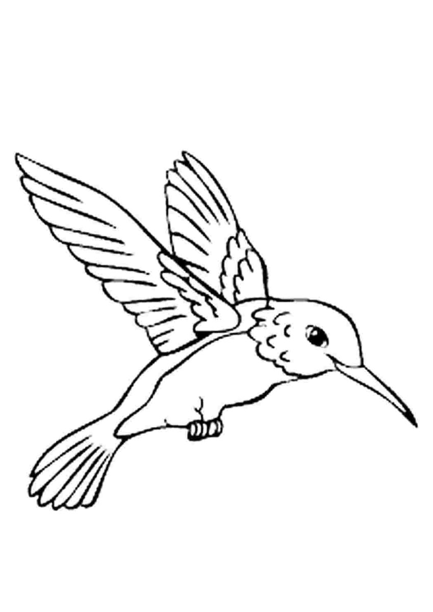 Хохлатая синица ТИТМАУС