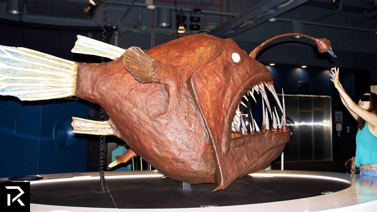 Рыба удильщик тату