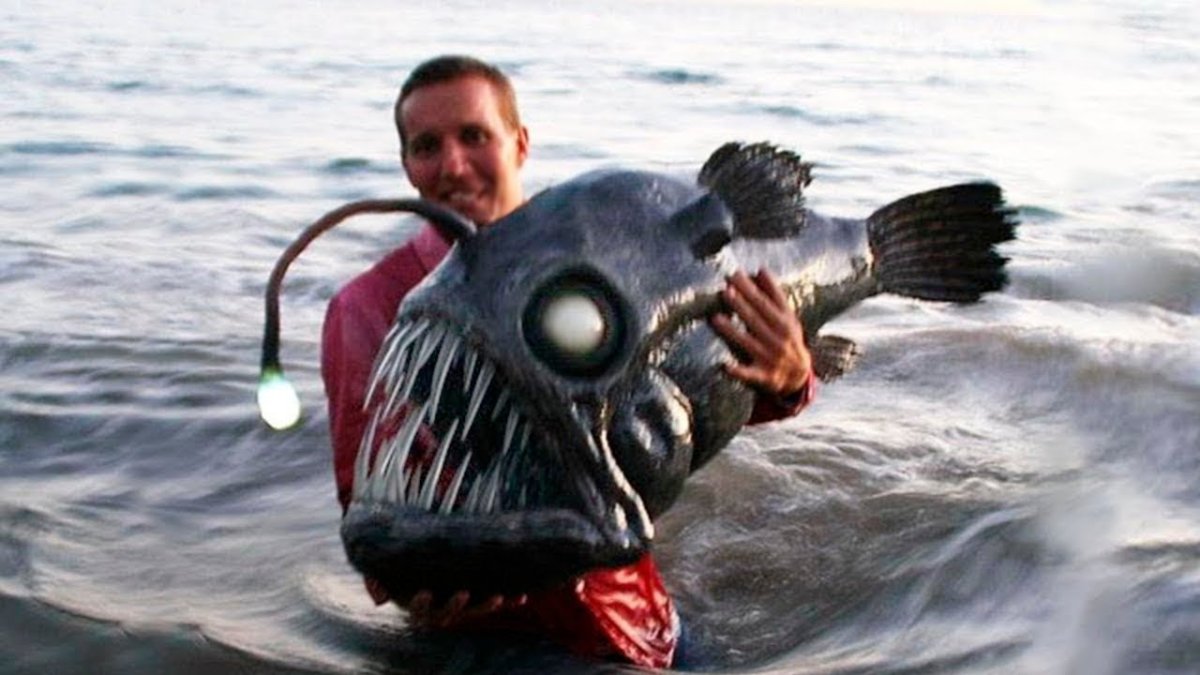 Морской черт удильщик