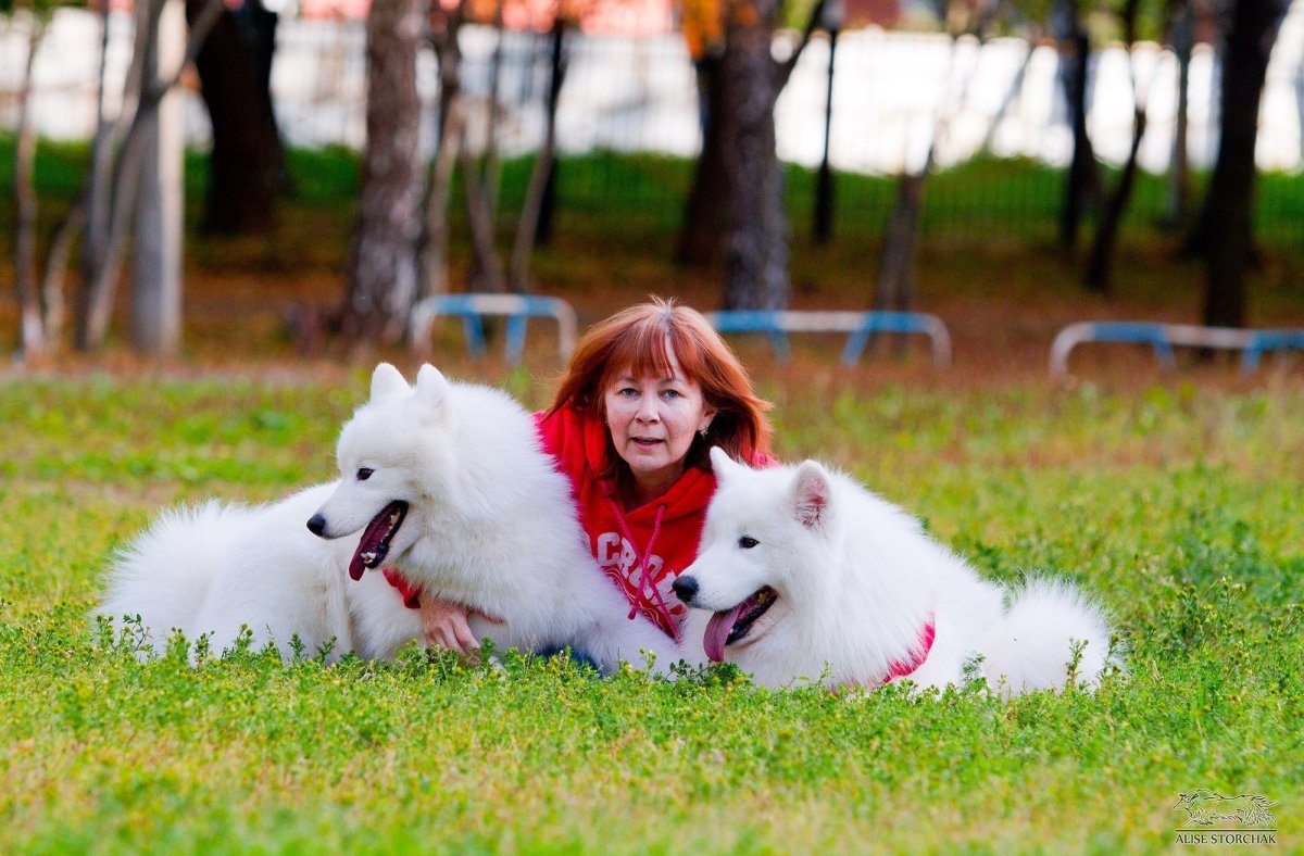 Самоед девочка