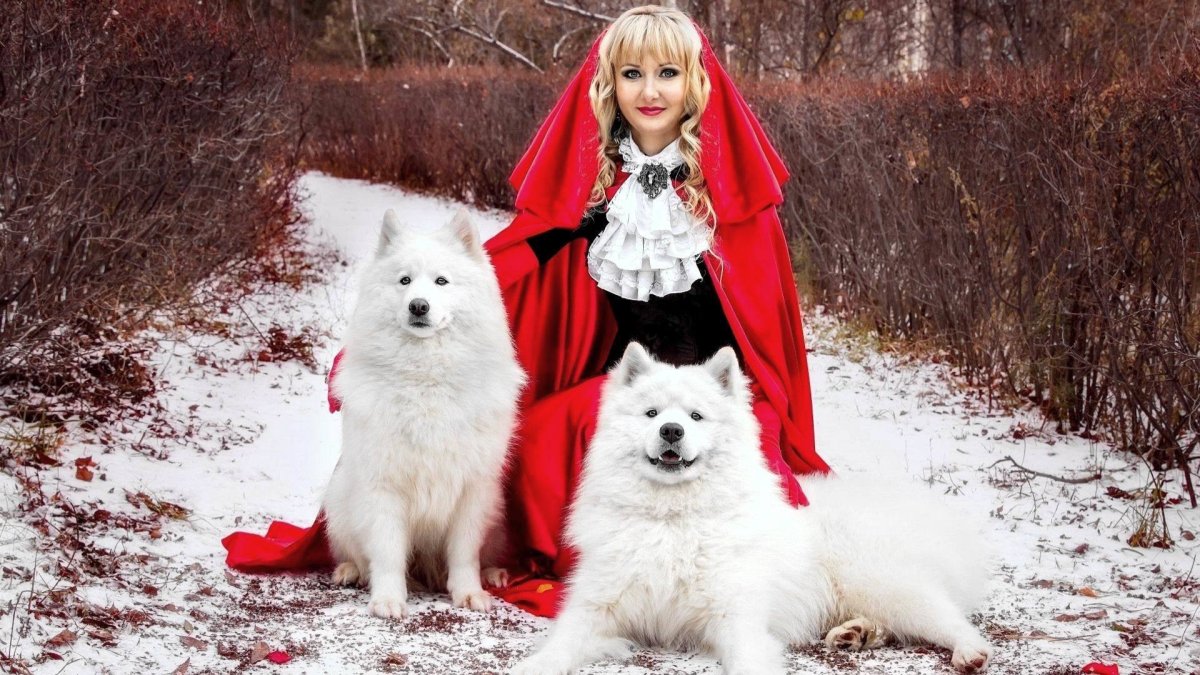 Маламут альбинос