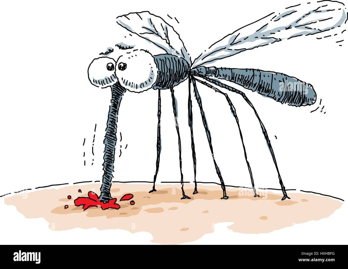 Полосатые насекомые в Подмосковье кусачие