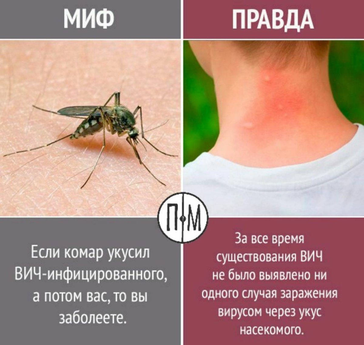 Аллергия на укусы насекомых