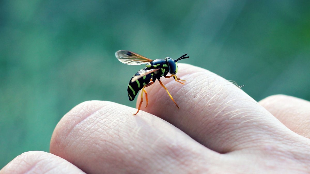 Аллергическое покраснение кожи у ребенка