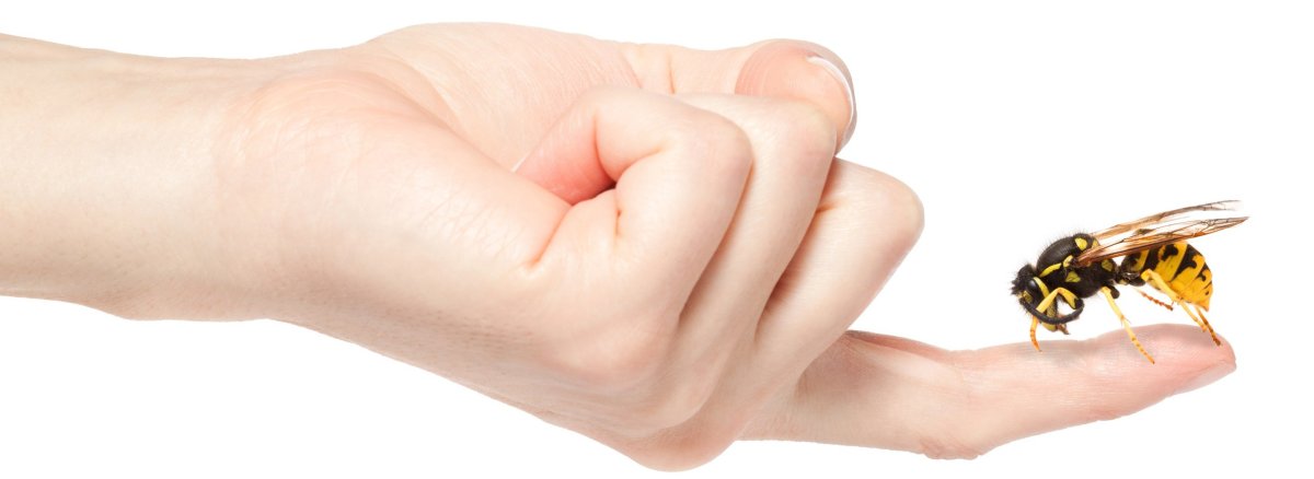 Почему комариный укус чешкт