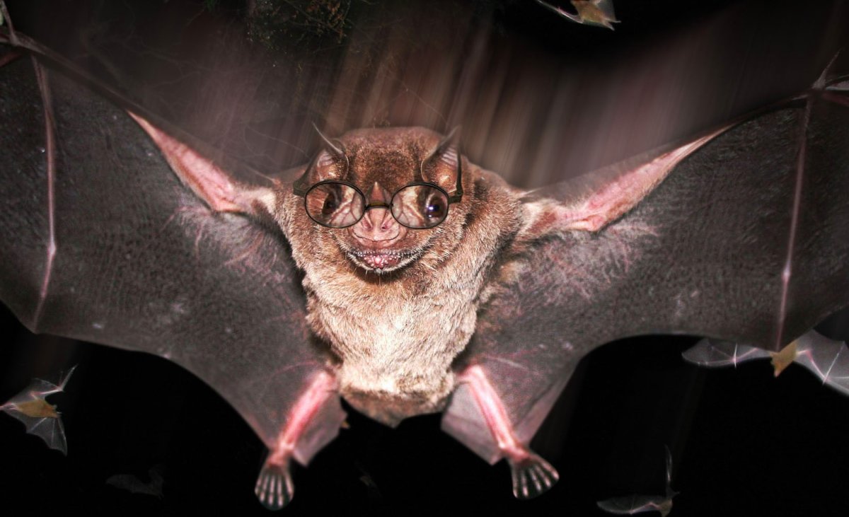 Вампир-летучая мышь (the Vampire bat) {х/ф}