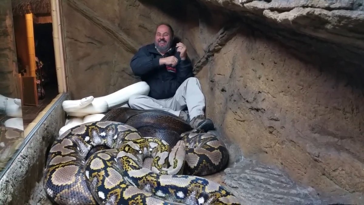 Гигантская Анаконда людоед