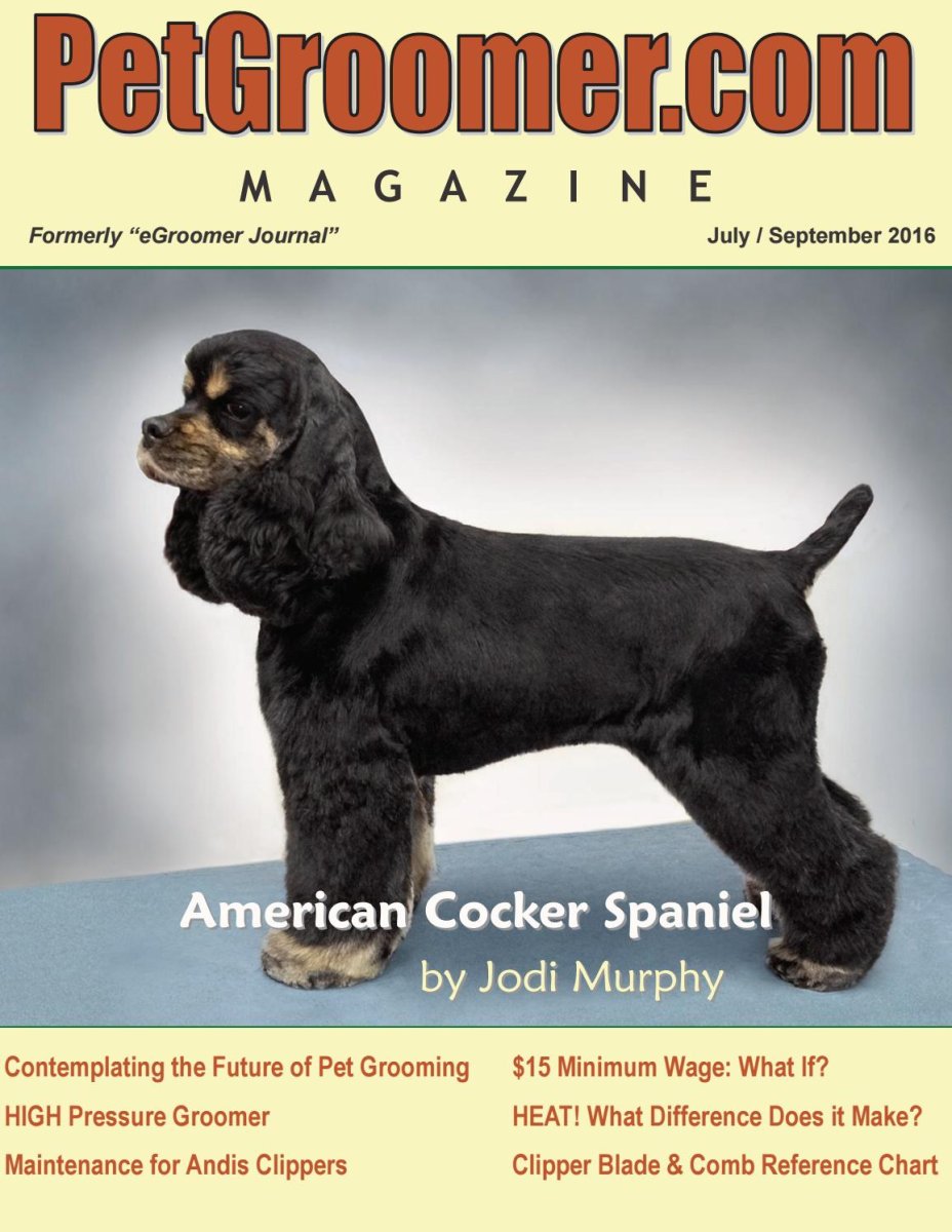 Американский кокер спаниель груминг