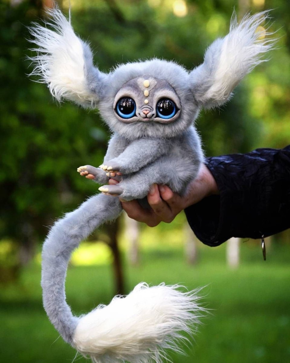 Мексиканский глазопух