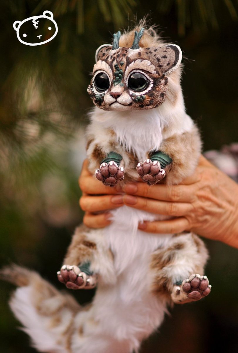 Мексиканский глазоух