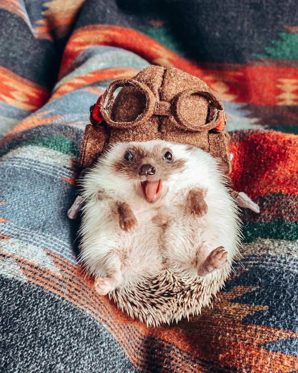 Шапочка "Ёжик"