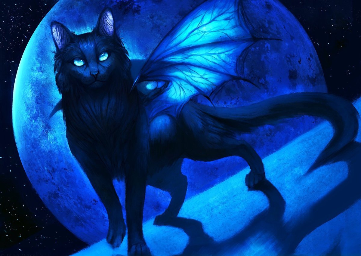 Фамильяр котодракон